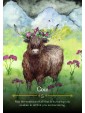 Seasons of the Witch Beltane Oracle by Lorriane Anderson, Juliet Diaz & Giada Rose